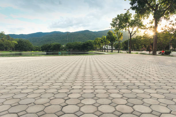Best Local Driveway Pavers  in Cumings, TX